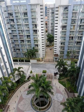 Palm Tree Villas 2